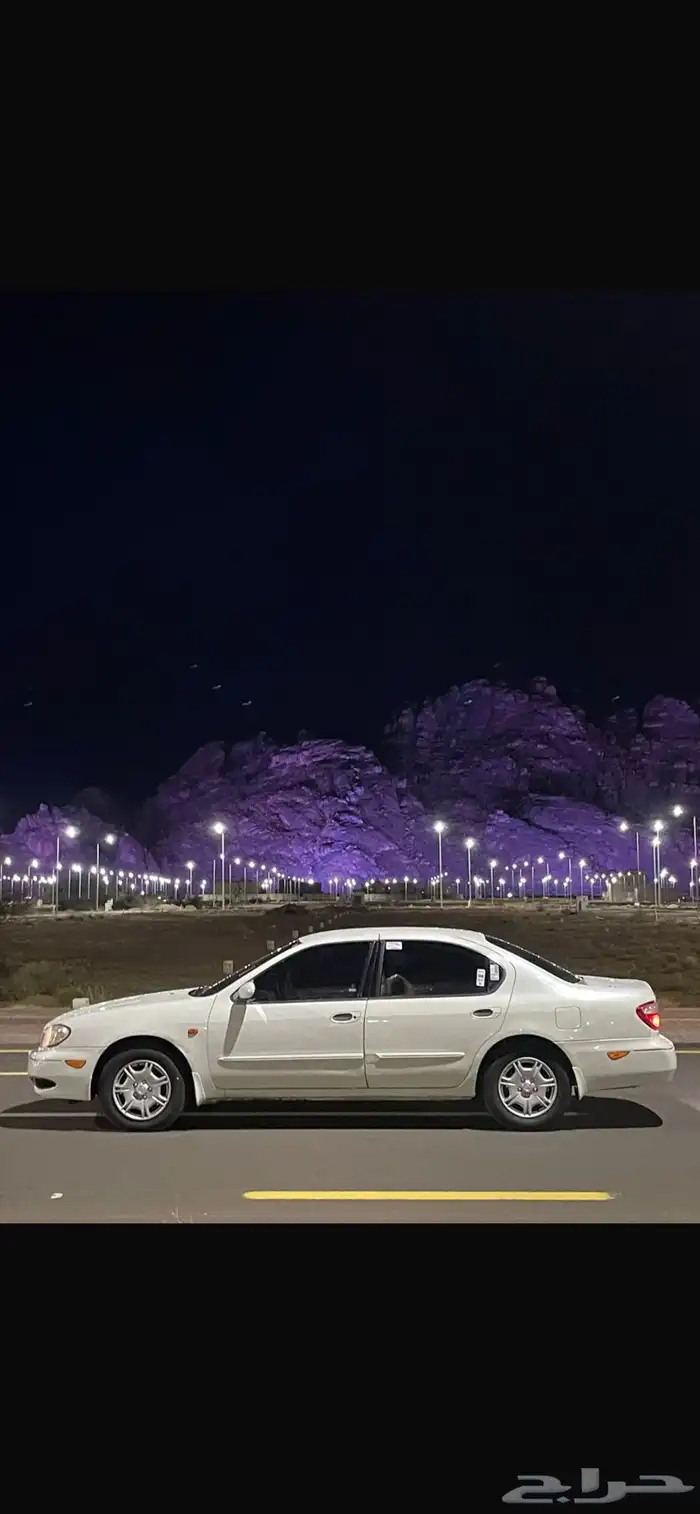 طيش مكسيما 1