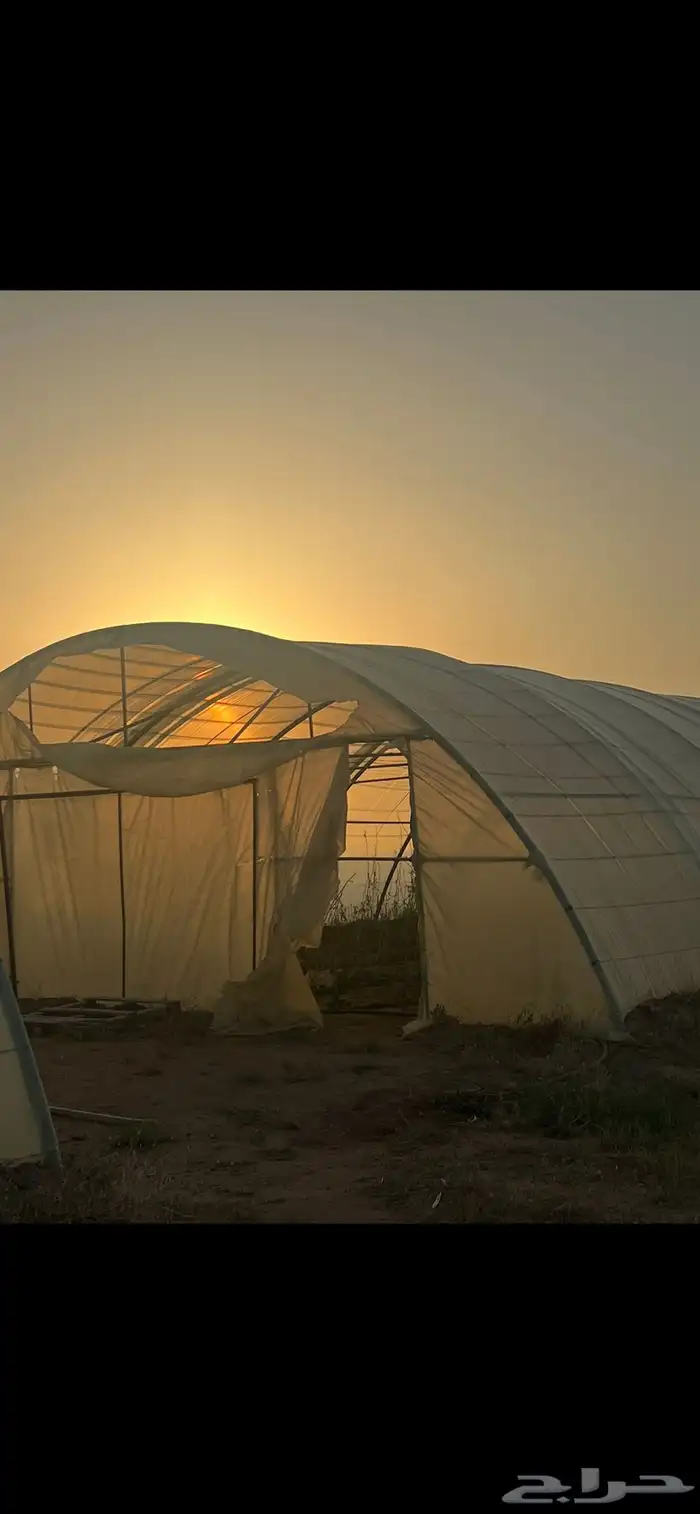 محميه للبيع 0