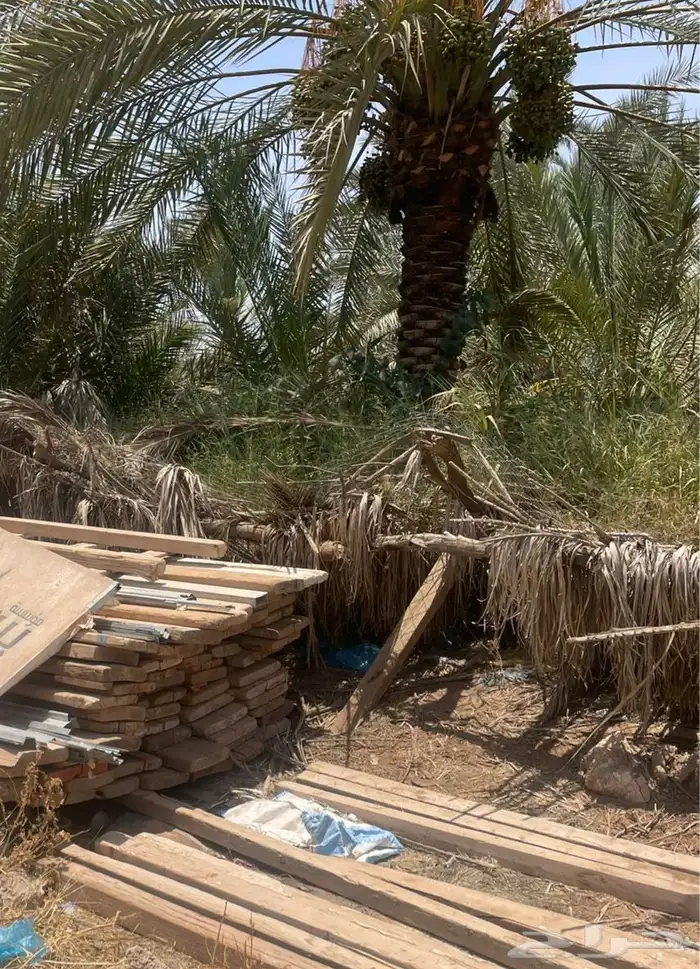 خسب و سقاله للبيع 1