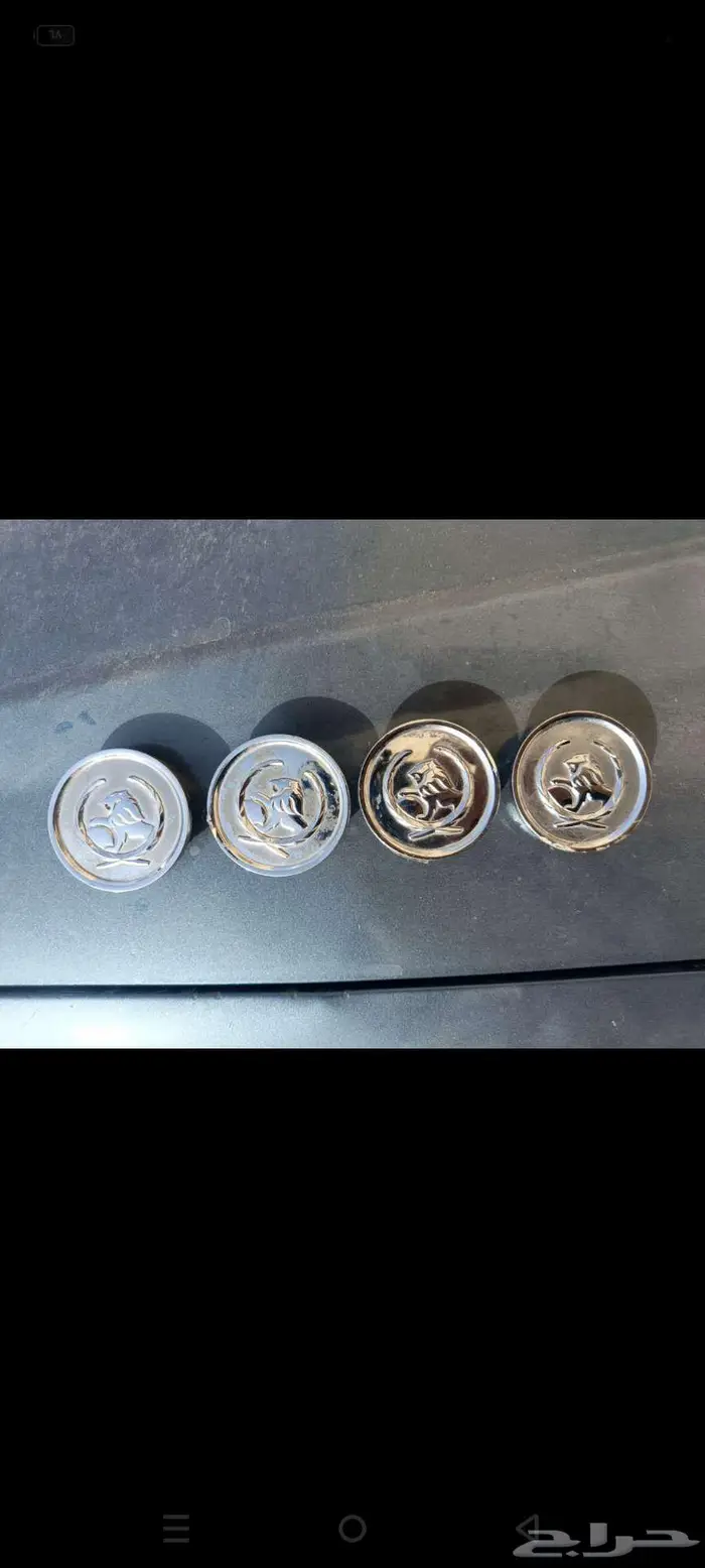 علامة هولدين 0