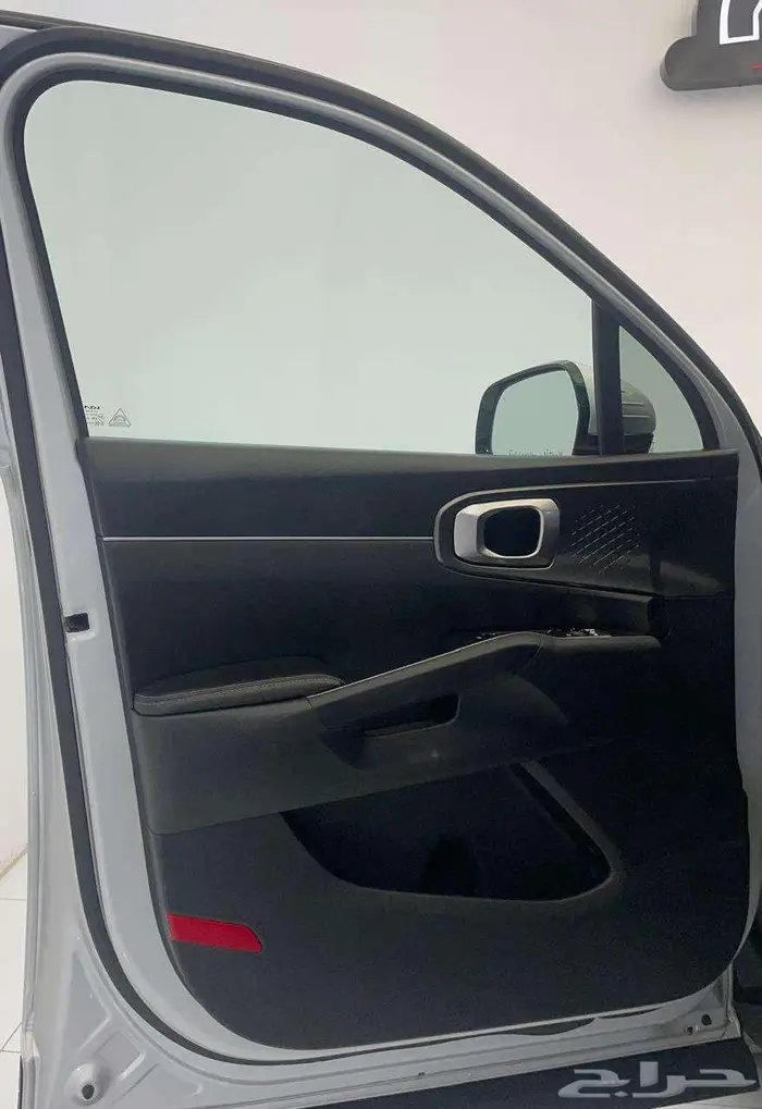 كياسورنتو 2022 28