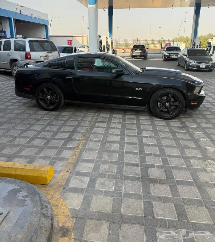 موستنغ GT 5.0 V8 6