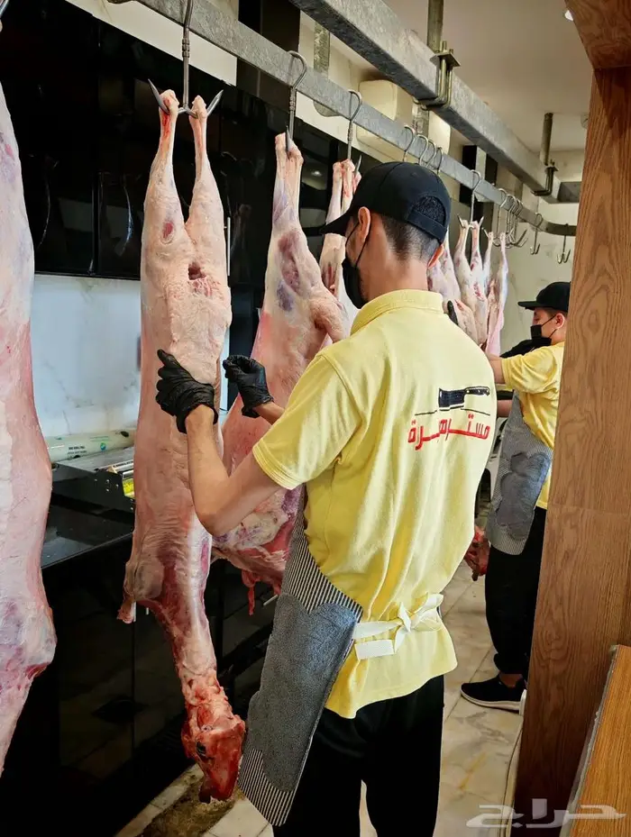 عرض ذبايح أنظف لحم بأفضل سعر 12