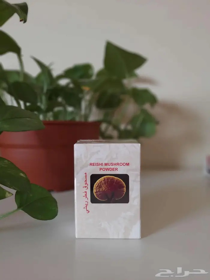 فطر الجانوديرما 0