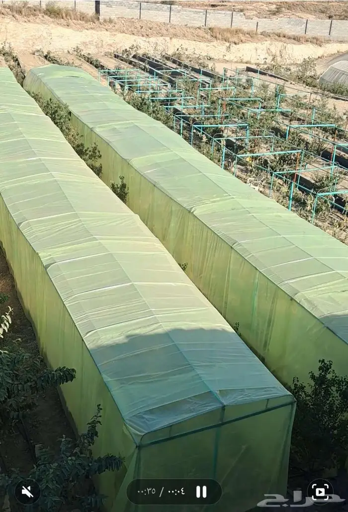 مزرعه للايجار 1