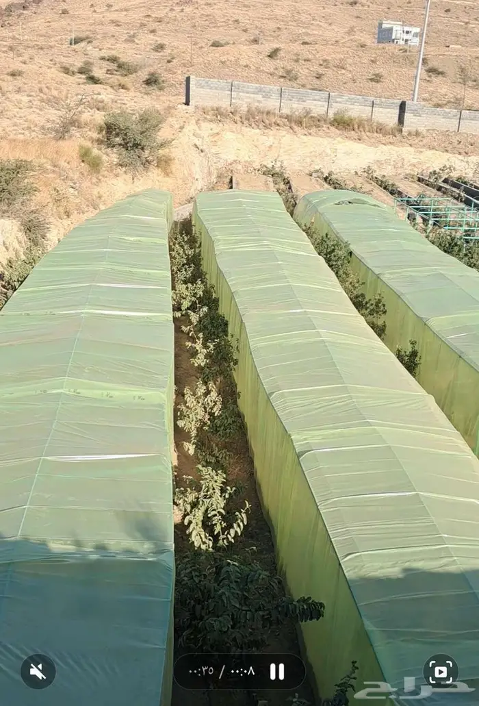 مزرعه للايجار 0