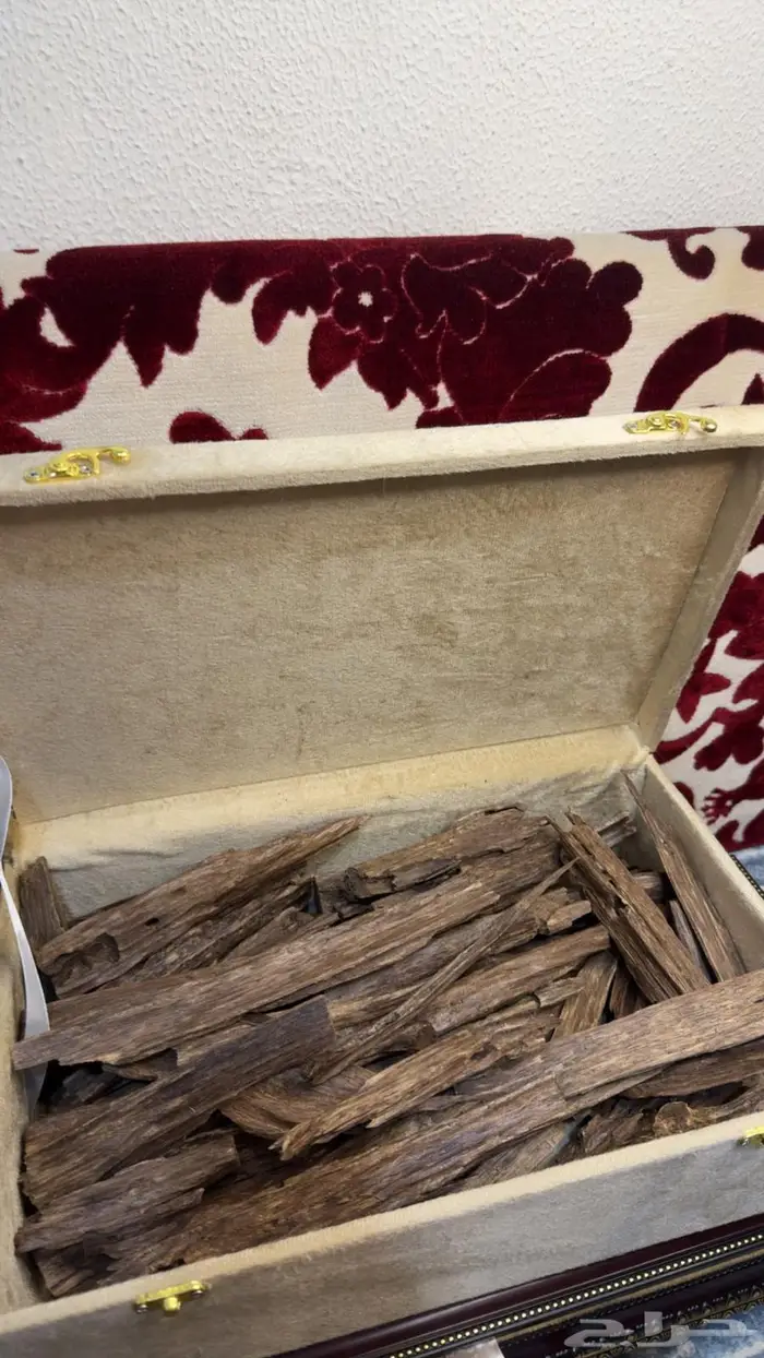 عود هندي نجلاند 2