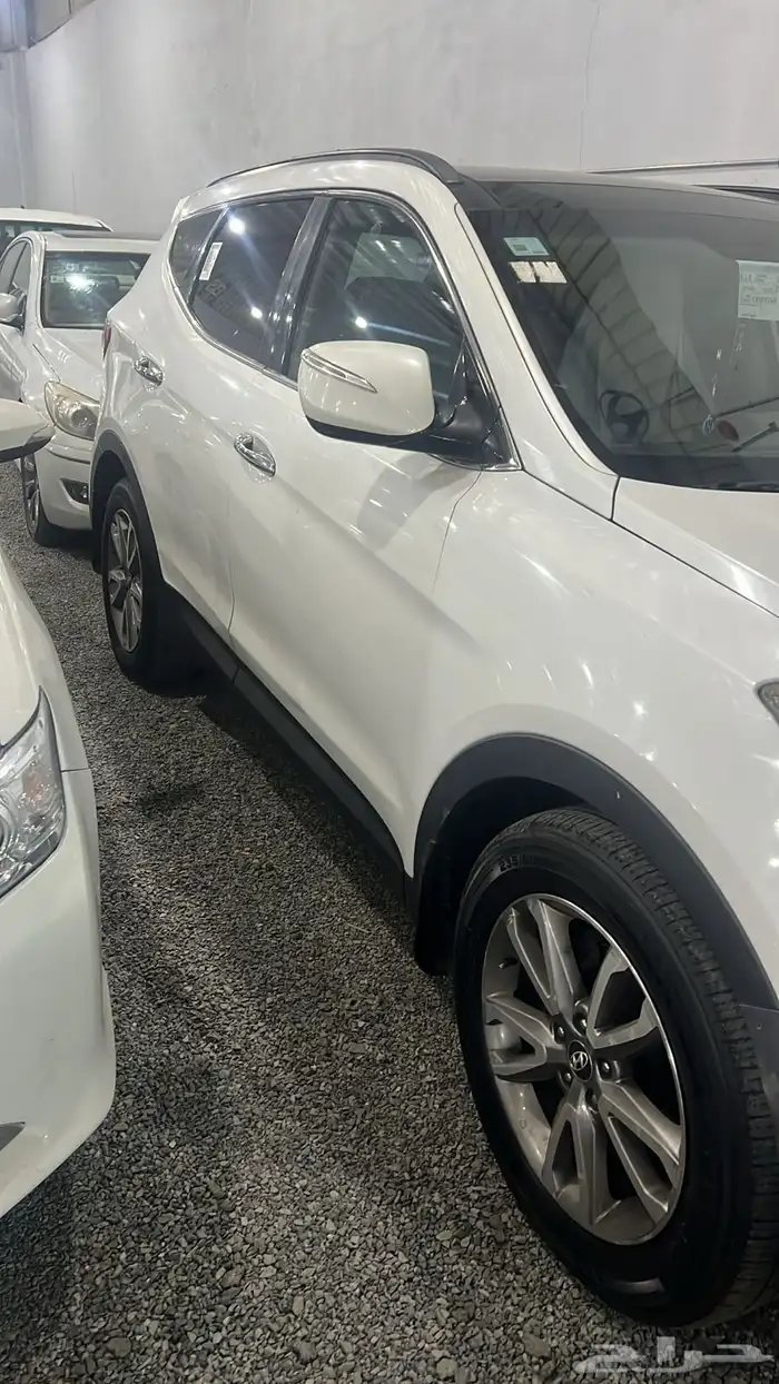 سنتافي للبيع2013 2