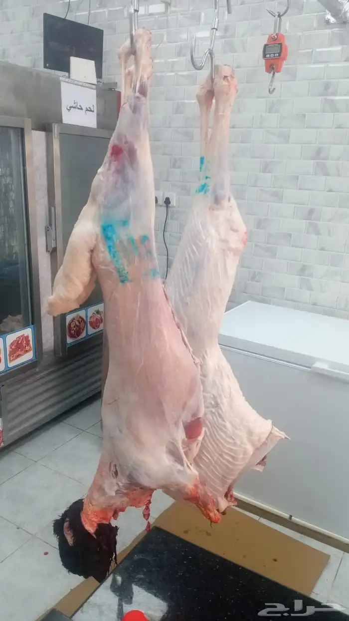 ملحمة بيت اللحم الطارج اللذيذ 6