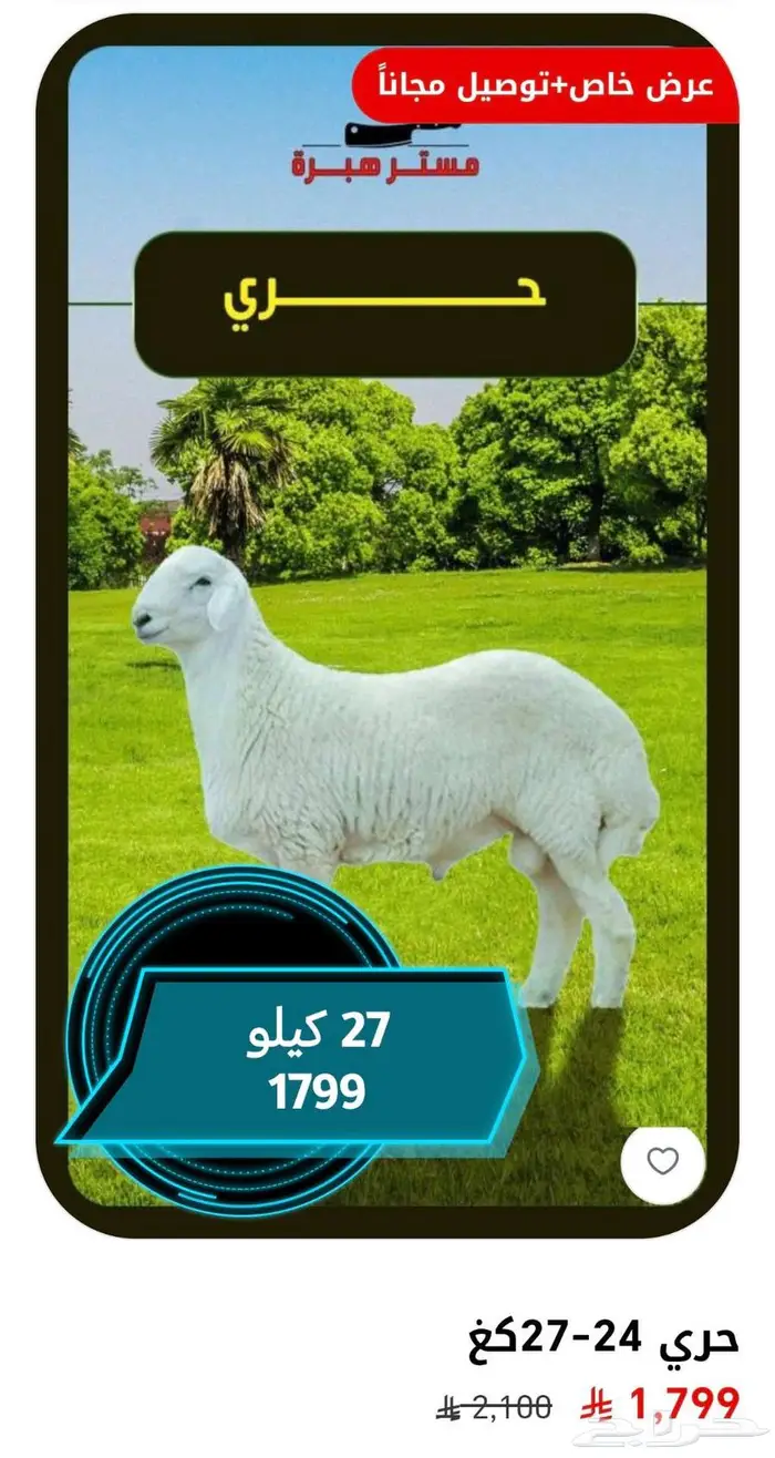 عرض ذبايح أنظف لحم بأفضل سعر 4