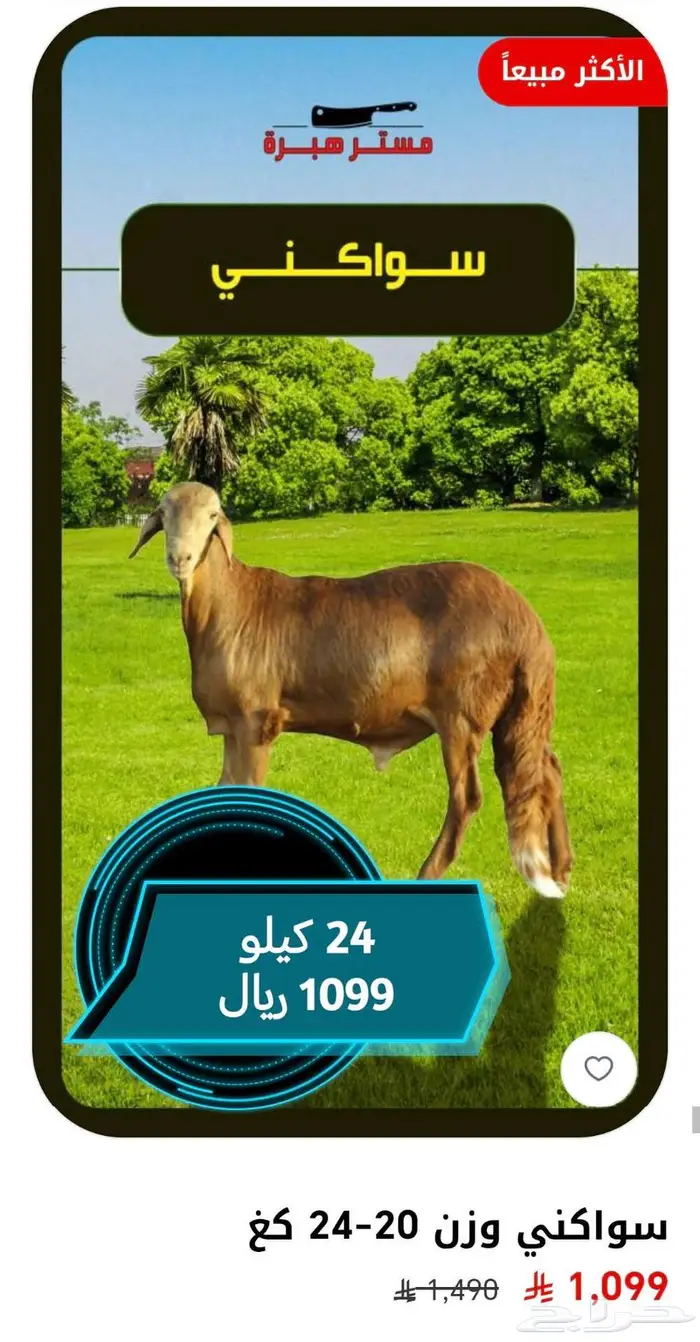 عرض ذبايح أنظف لحم بأفضل سعر 3