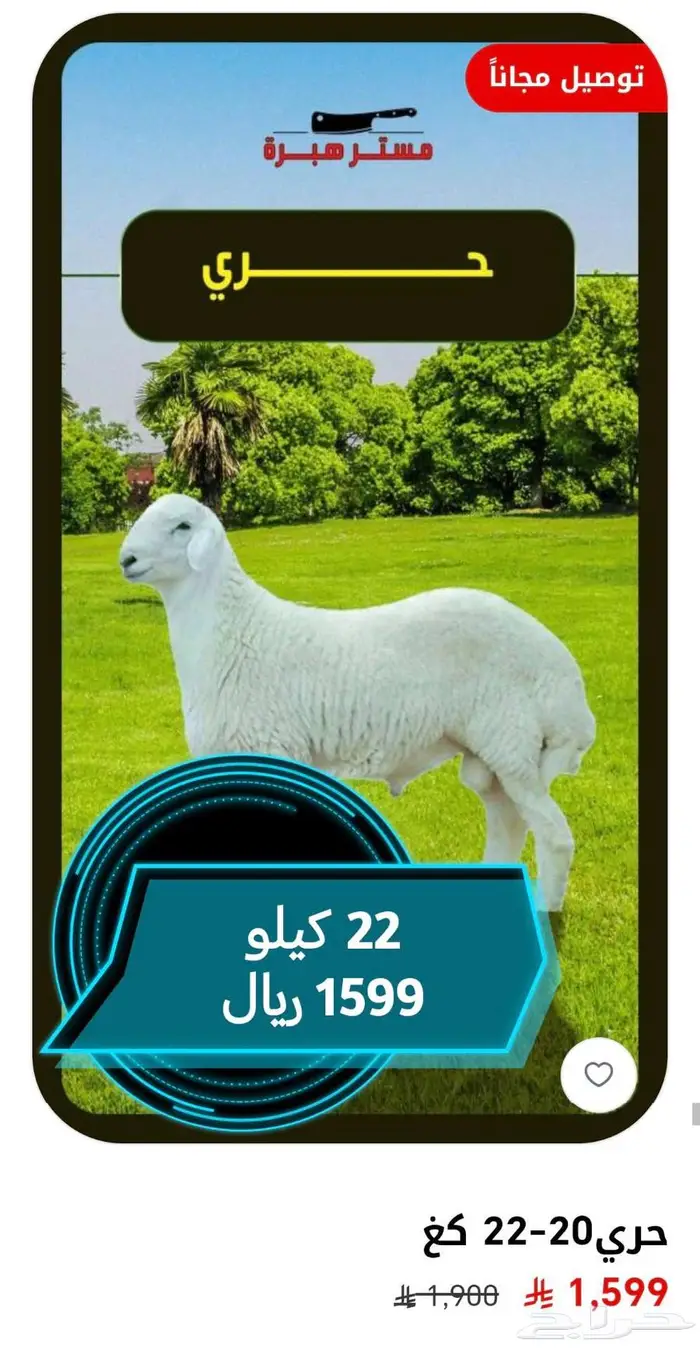 عرض ذبايح أنظف لحم بأفضل سعر 2