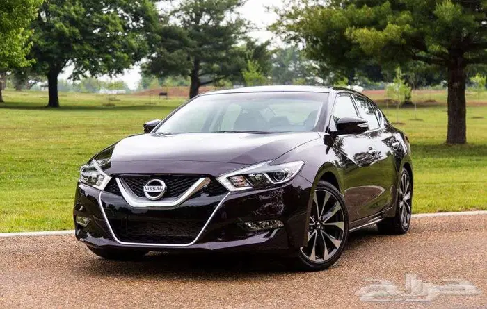 نوفر جنوط مكسيما حجم 19 11