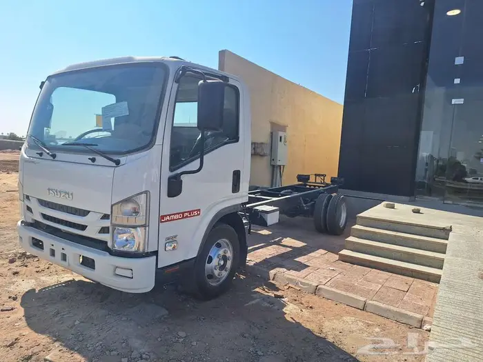 دينا ايسوزو 2025 0