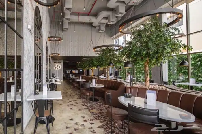 مصممه ديكورات 7