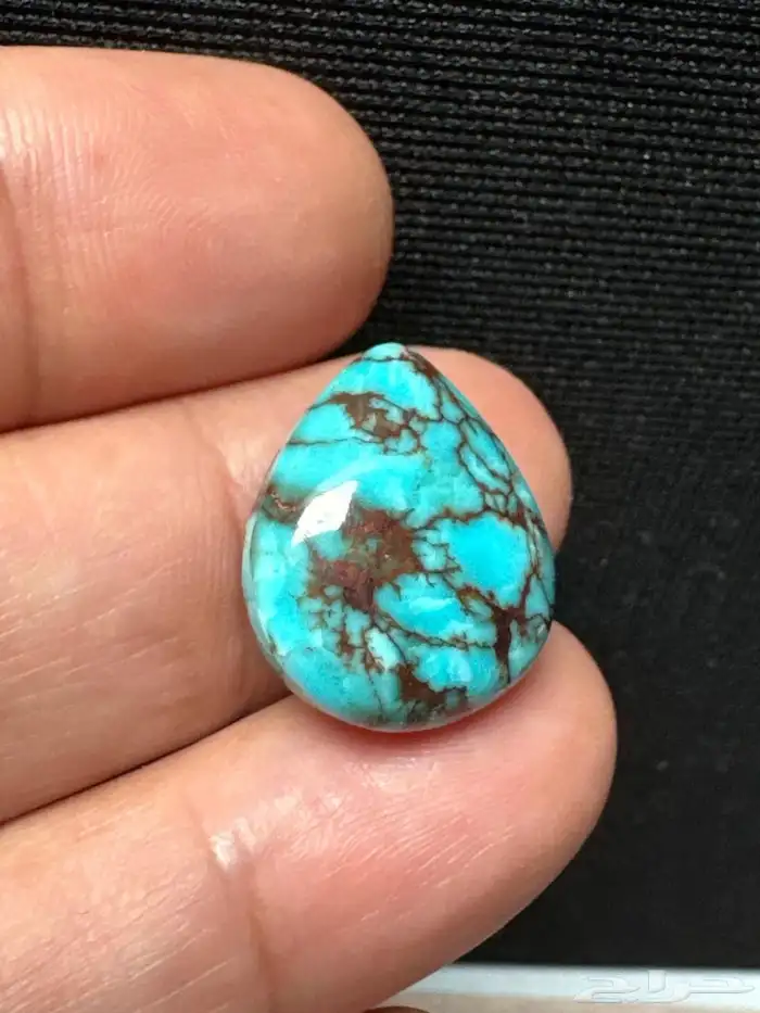 فيروز سيناوي طبيعي قص دمعة 5