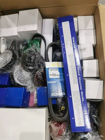 ديسكفري trophy camel index