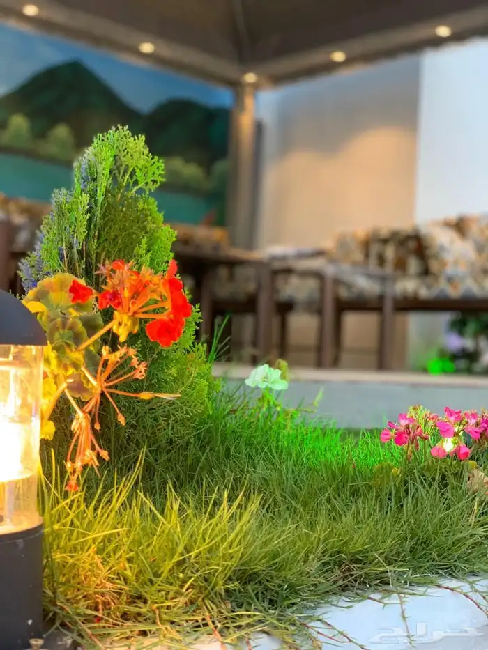 استراحة الفخامة بالعرفاء 21