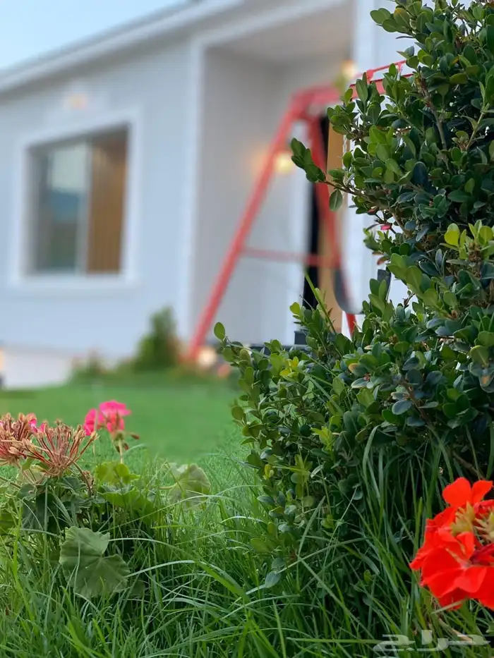 استراحة الفخامة بالعرفاء 42