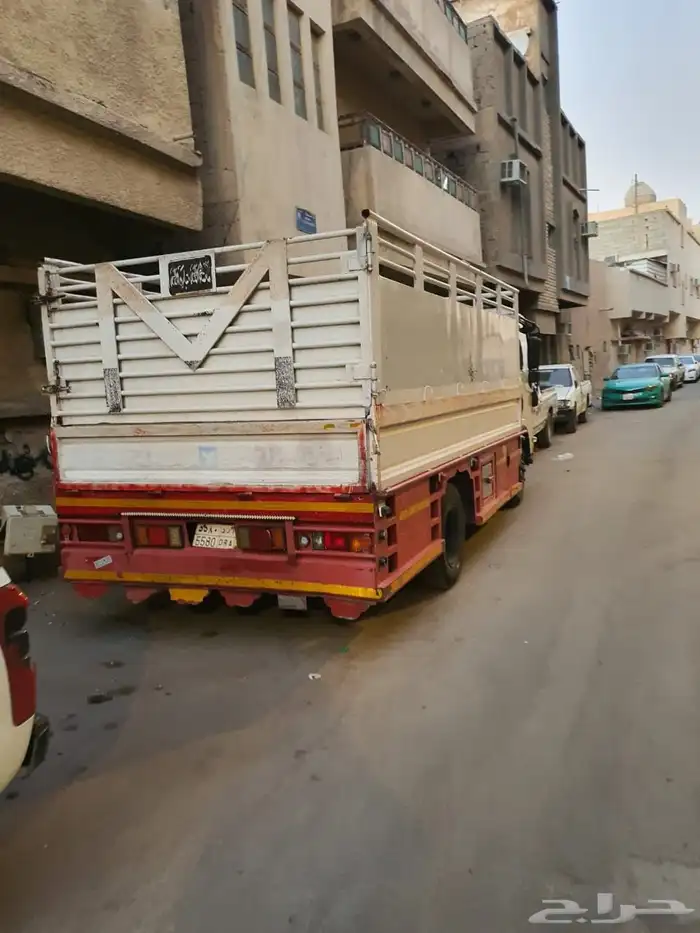 ديانا موديل 2017 10