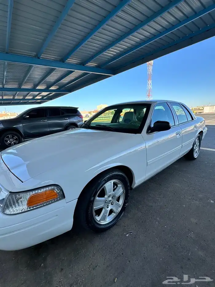 تم البيع الله يبارك للمشتري 4