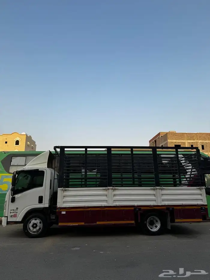 دينا للايجار 4