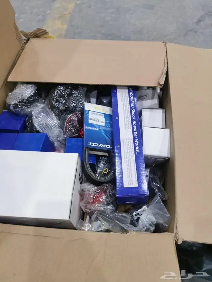 ديسكفري trophy camel 10