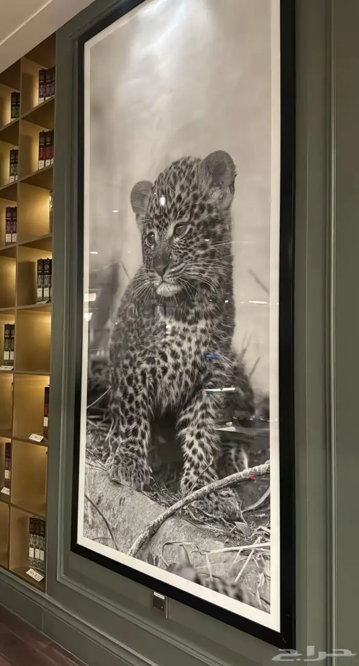 مصممه ديكورات 5