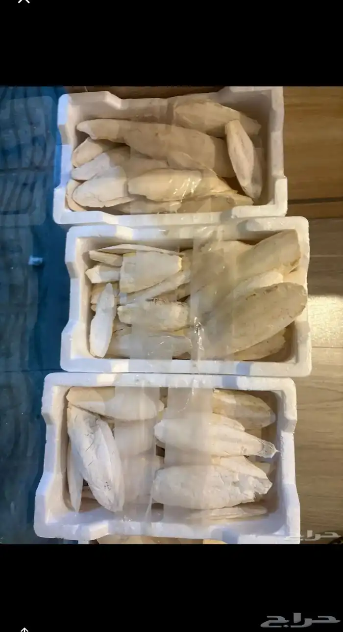 مستلزمات قطط و طيور اسعار طيبه جدا 8