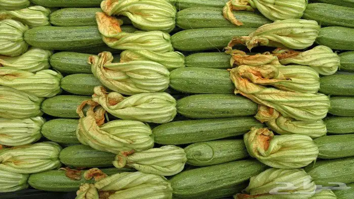 خضار اليوم باسعار الجملة 0