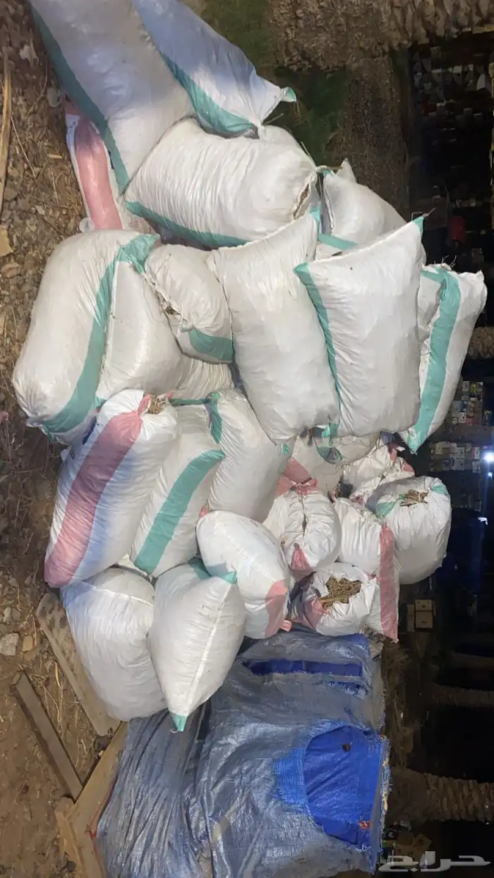 تمر غنم حشف علف 0