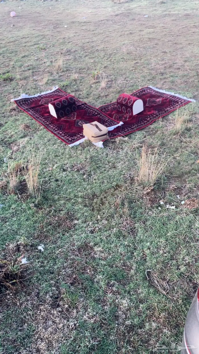 للبيع مدتين مع المراكي 2 افتحو السوم بارك الله فيكم 0