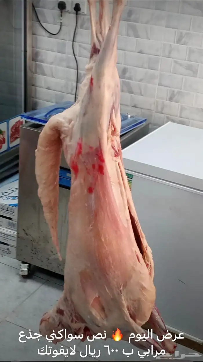 ملحمة بيت اللحم الطازج اللذيذ 6