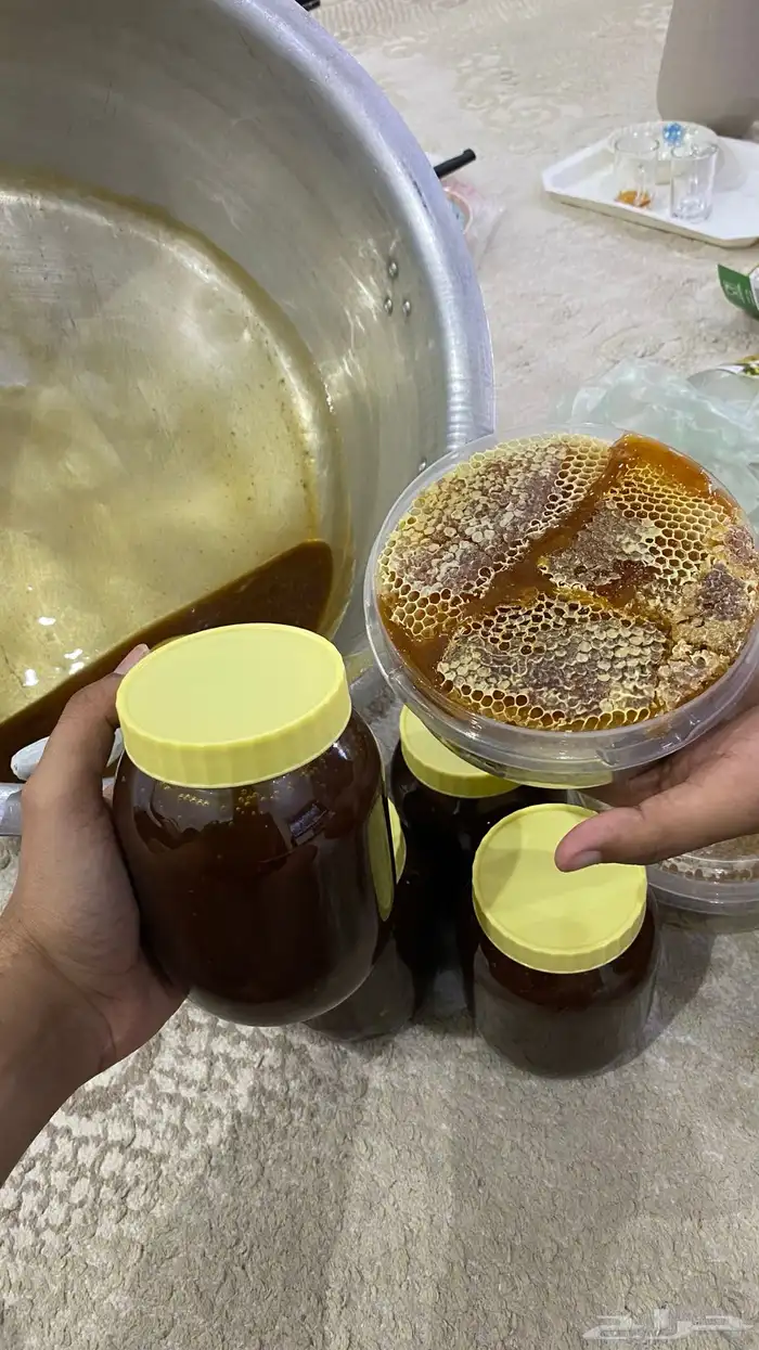 عسل سدرة صافي وشمع وسمن غنم بلدي 1