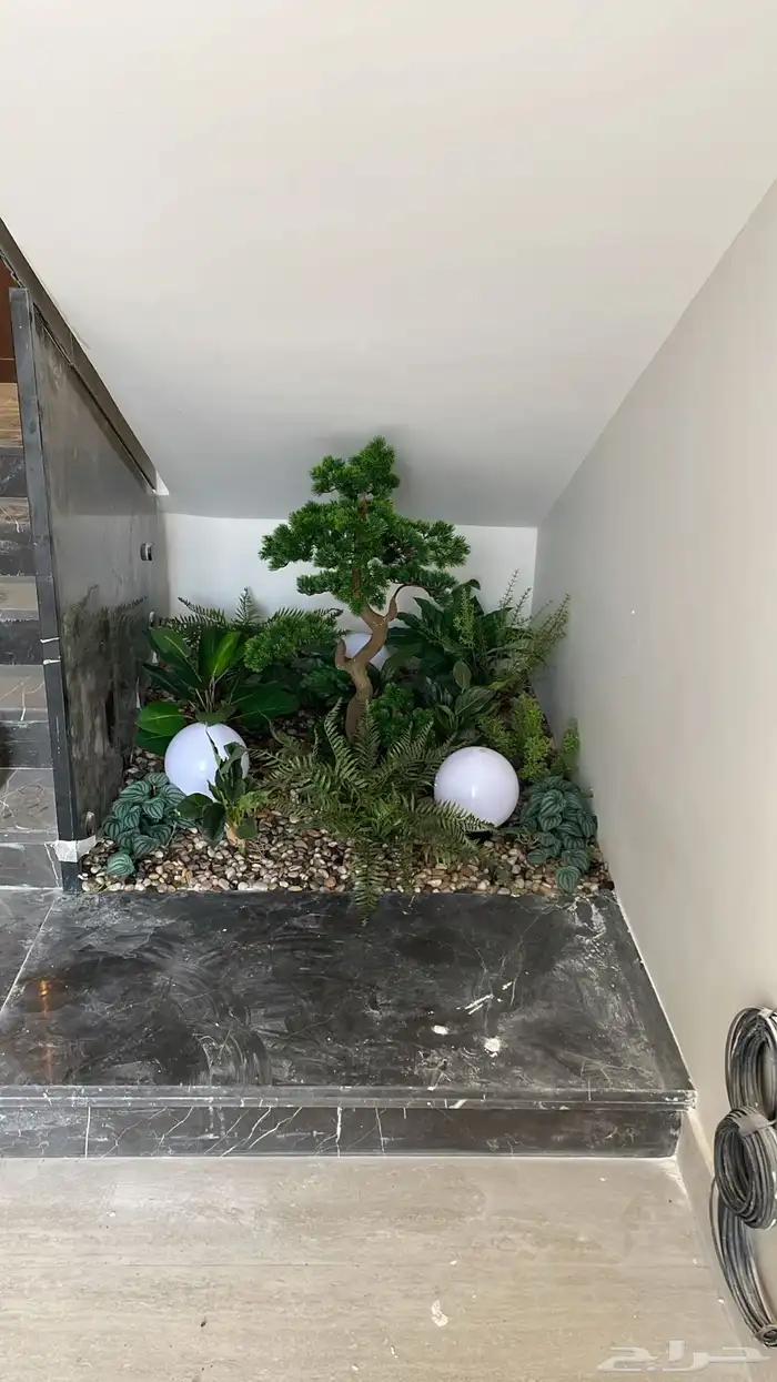 تفصيل اي شجر 0