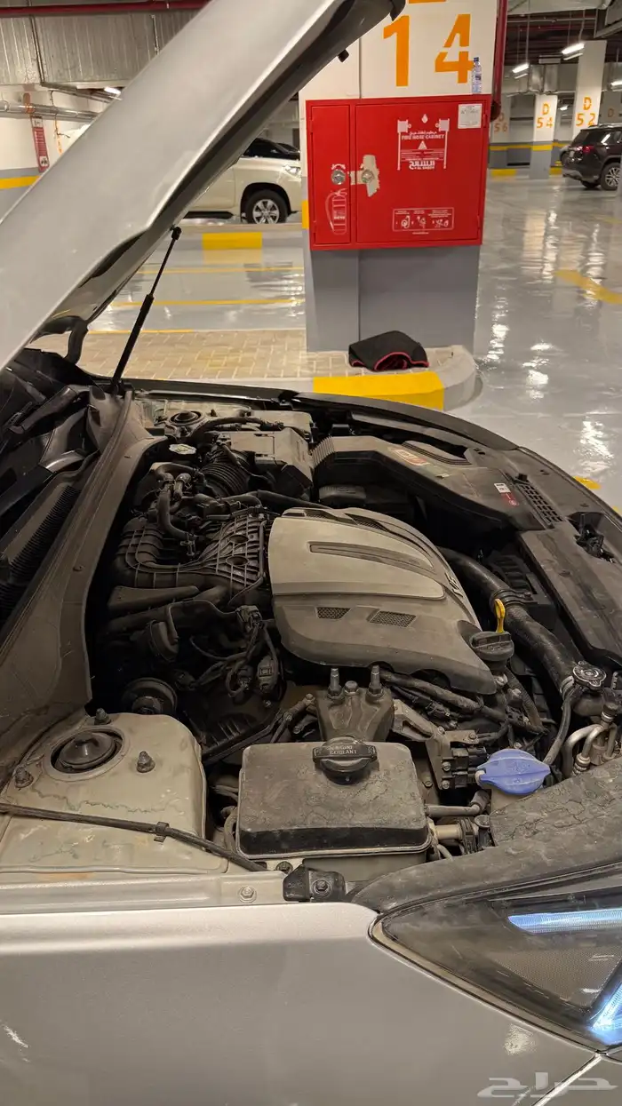 كادينزا 17 22