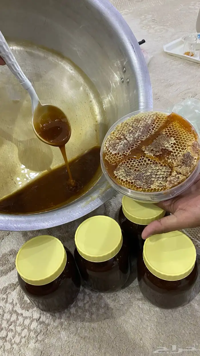 عسل سدرة صافي وشمع وسمن غنم بلدي 0