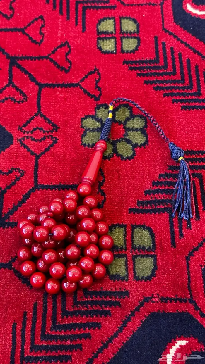 سبح بكلايت 6