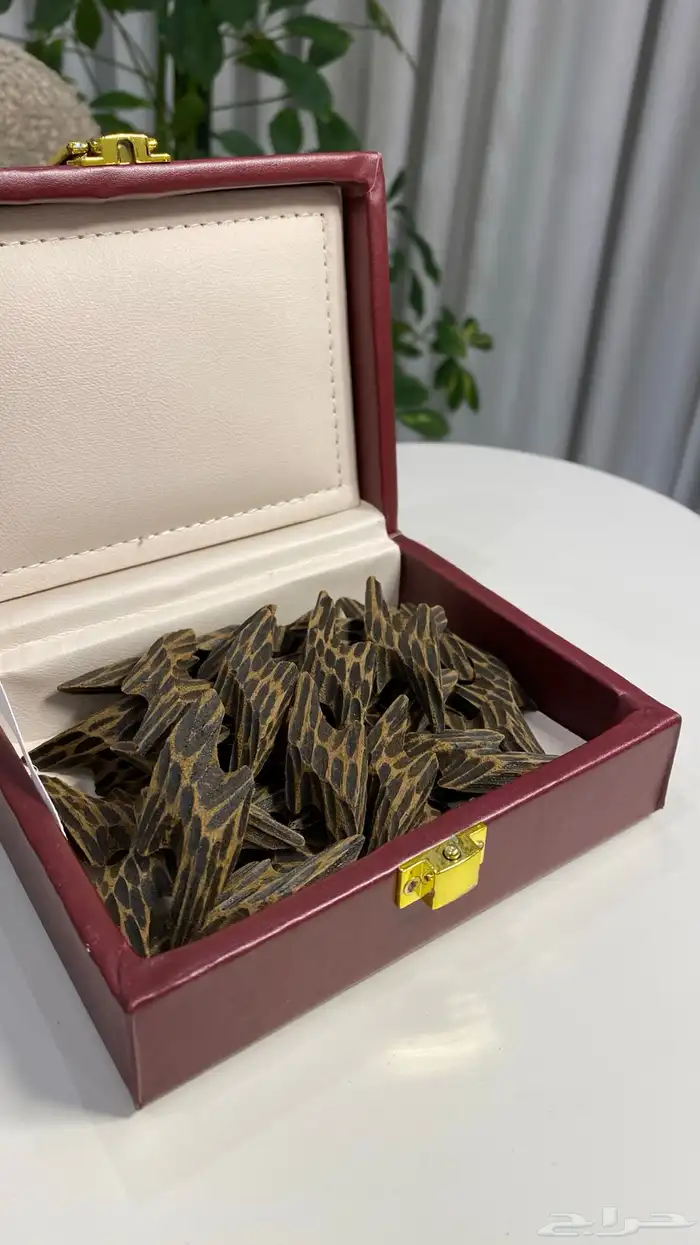 ( عود طبيعي و محسن ) 3