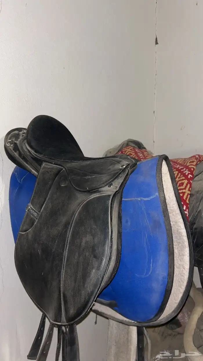 طقم خيل استيتوس للبيع 1