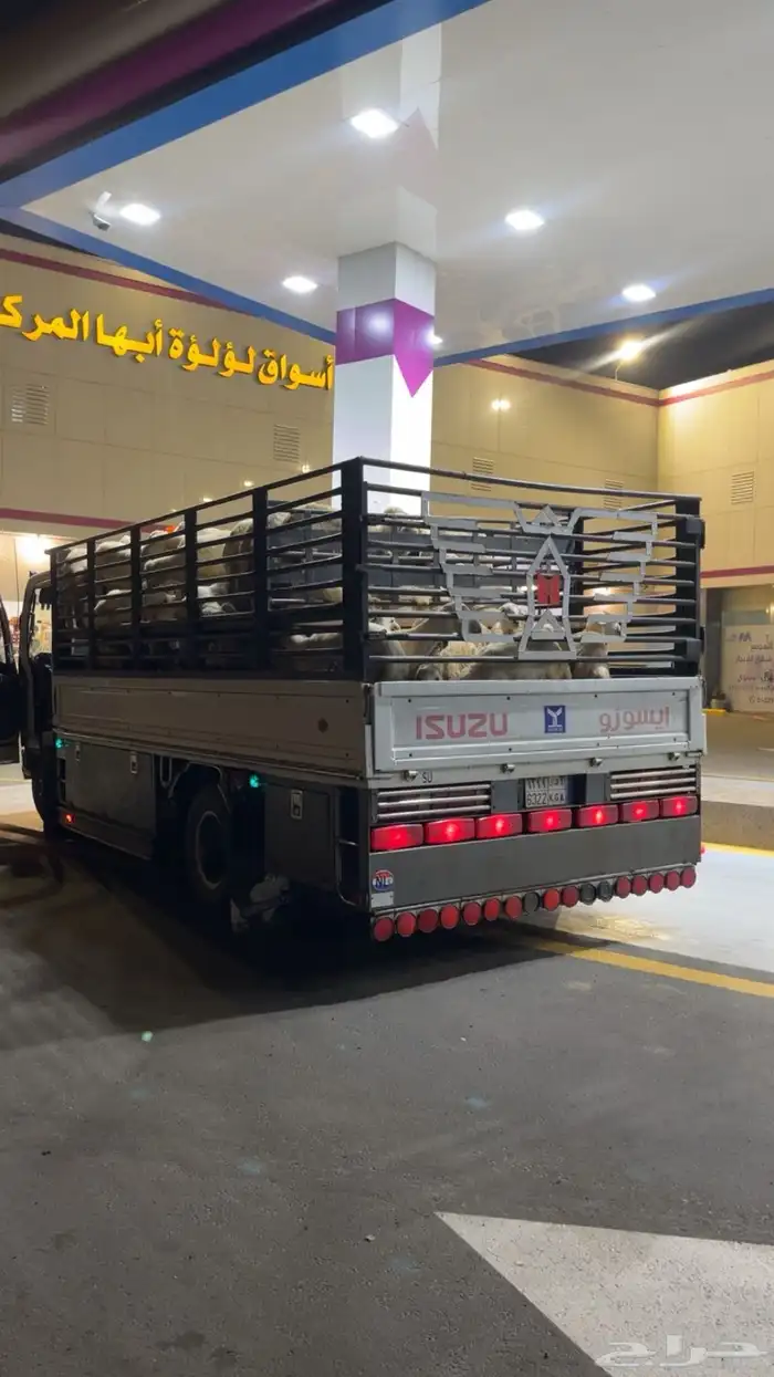 دينه تحميل عفش حلال نحل 0