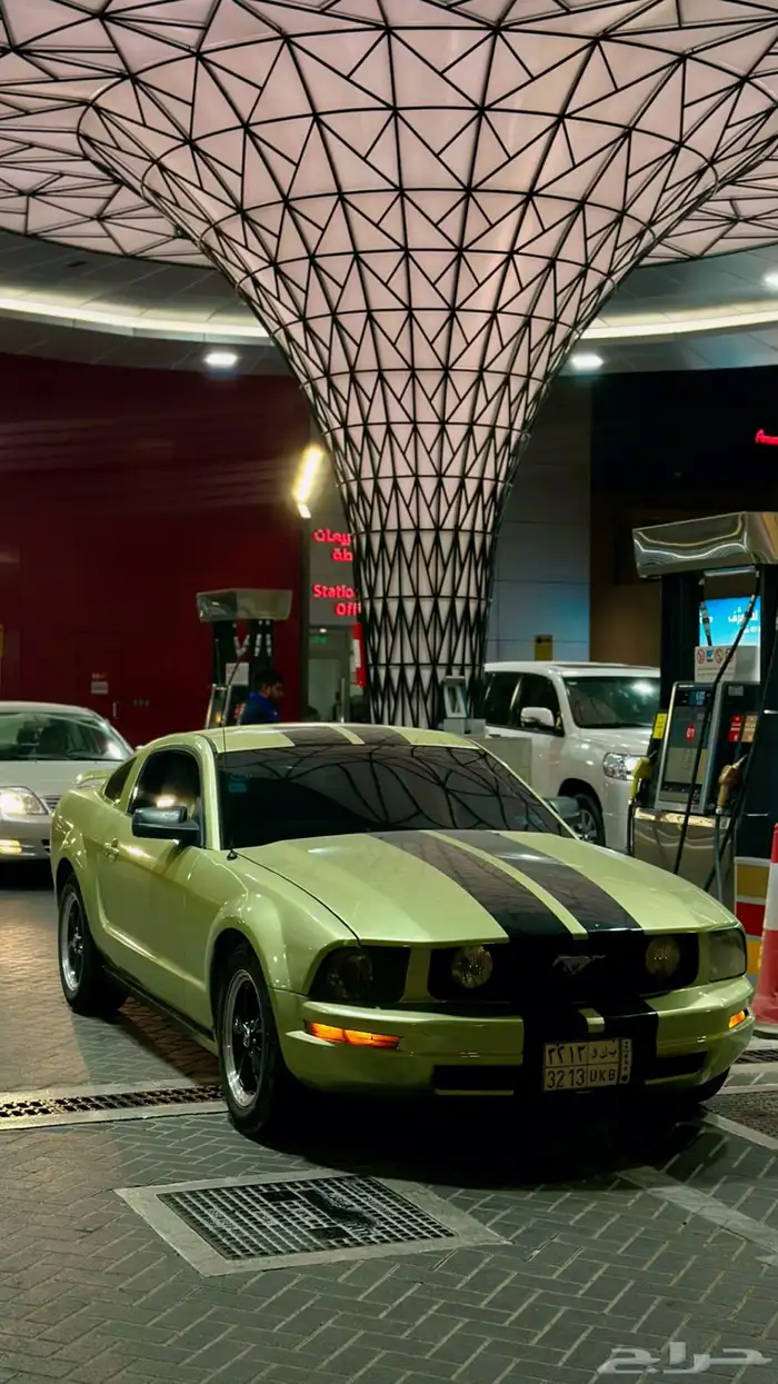 موستنج قمة بالنظافة 2