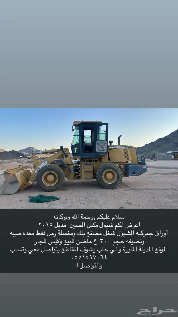 شيول وكيل الصين مديل 2015 0