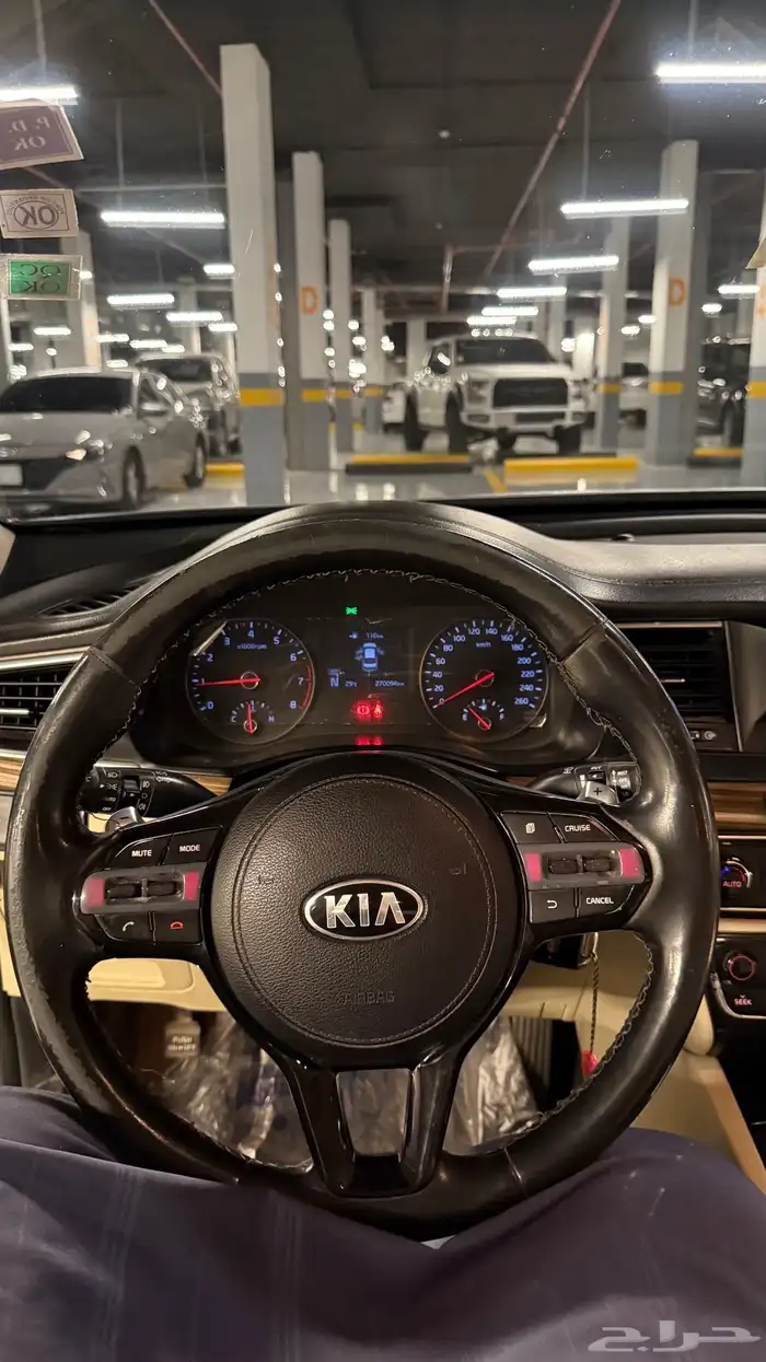 كادينزا 17 19