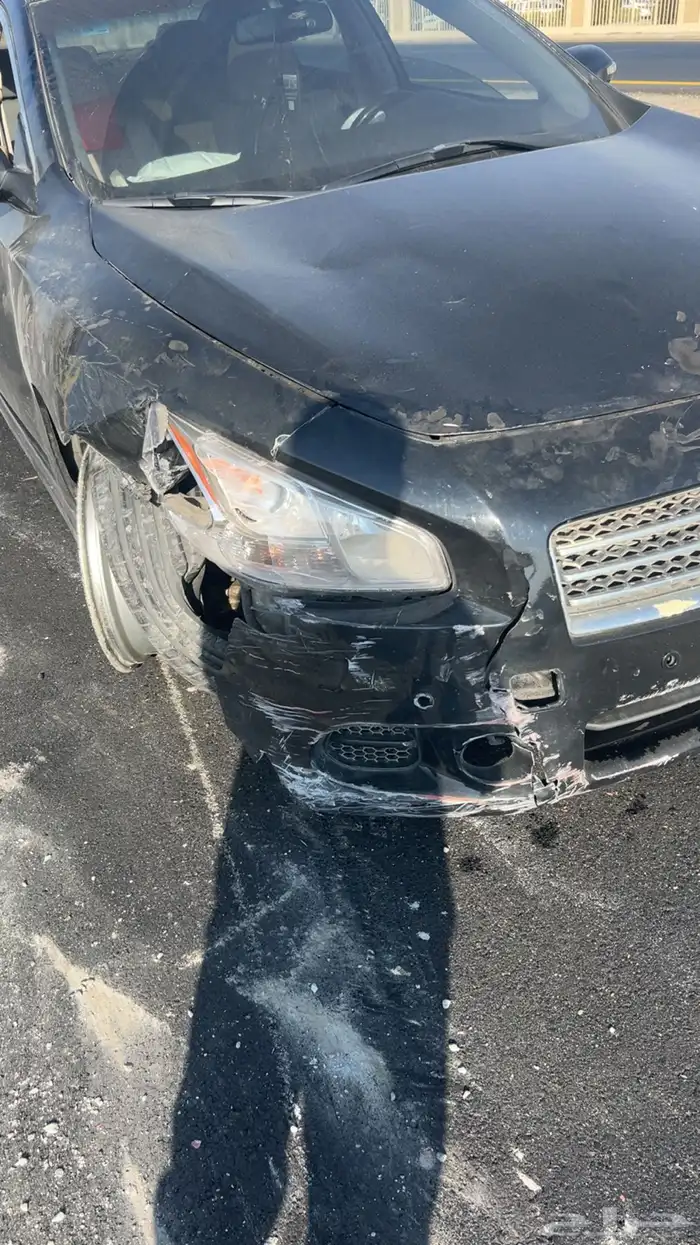 ماكسيما 2014 13