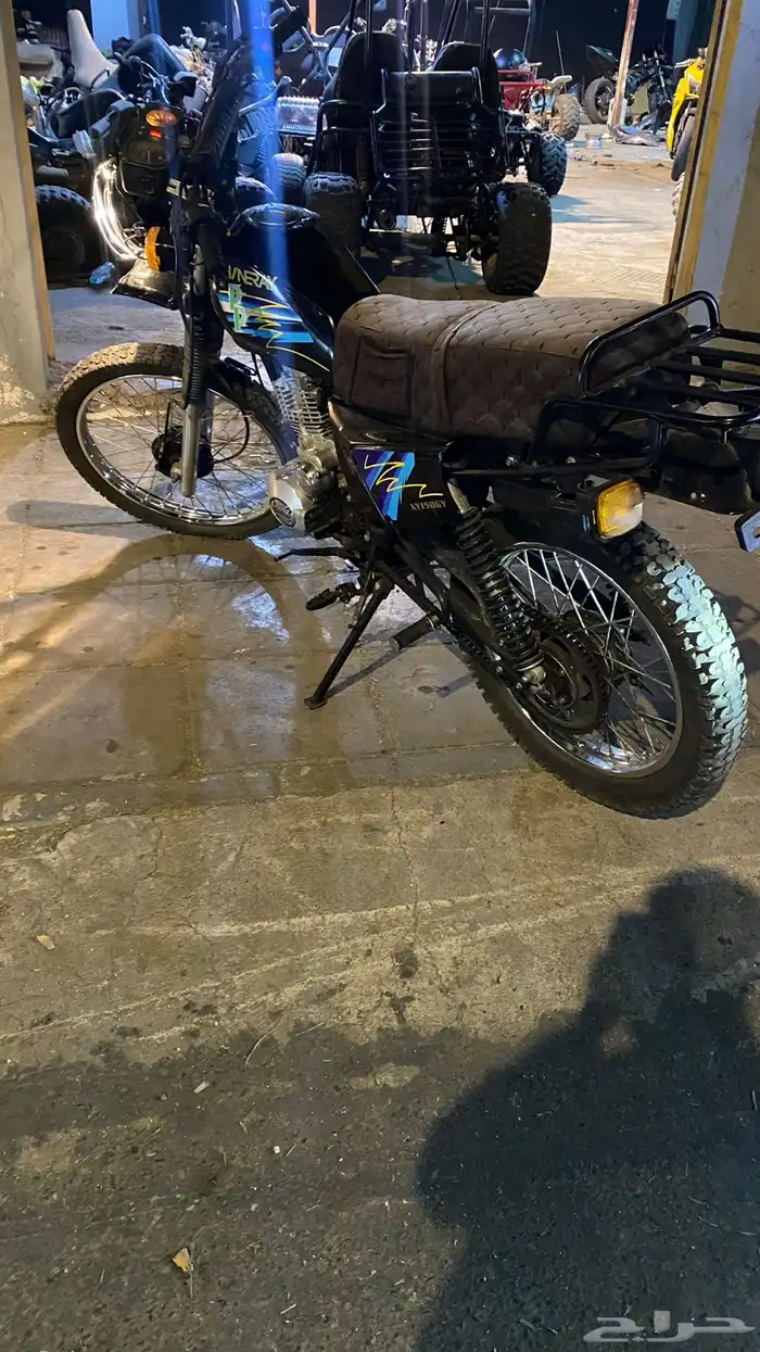 دباب صحراوي 1