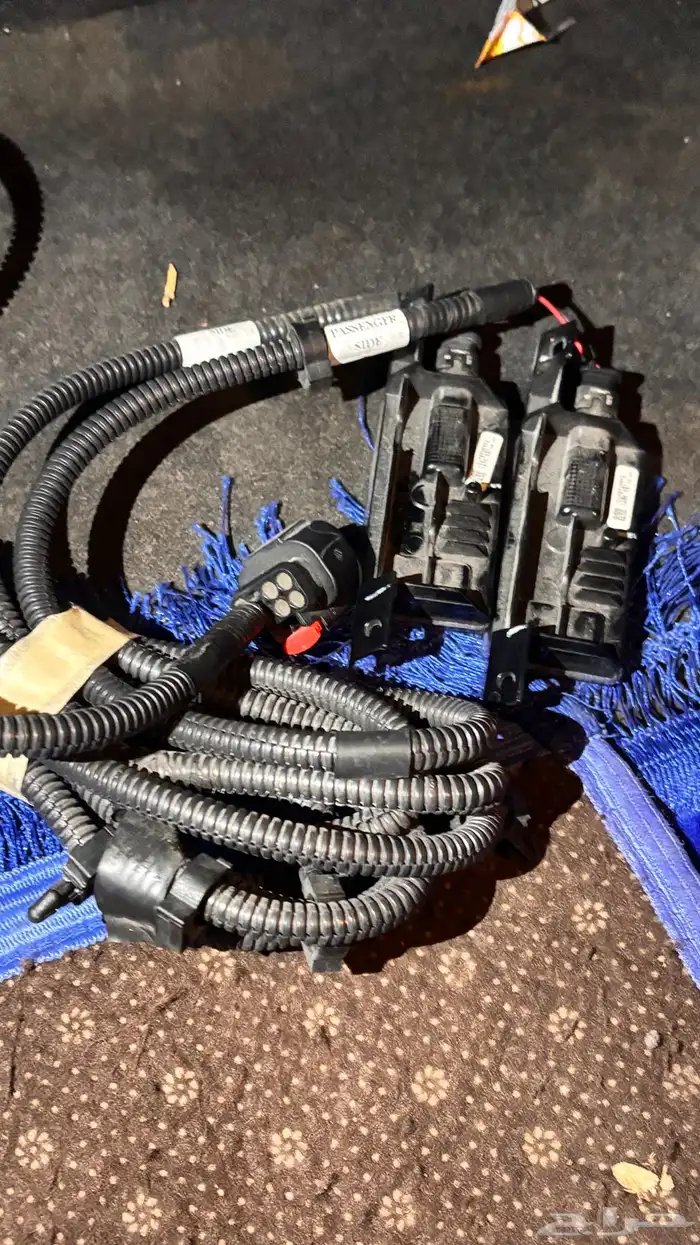 انوار حوض سيرا 2