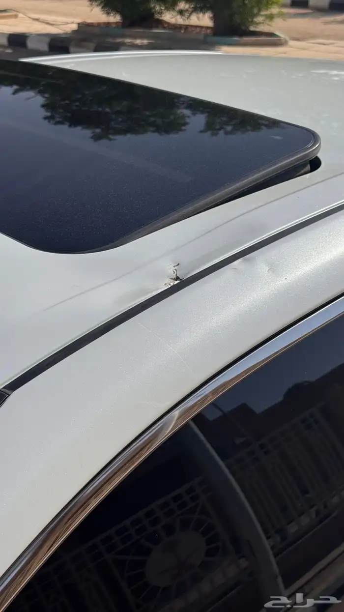 افلون ليمتد فل كامل نظيفة 16