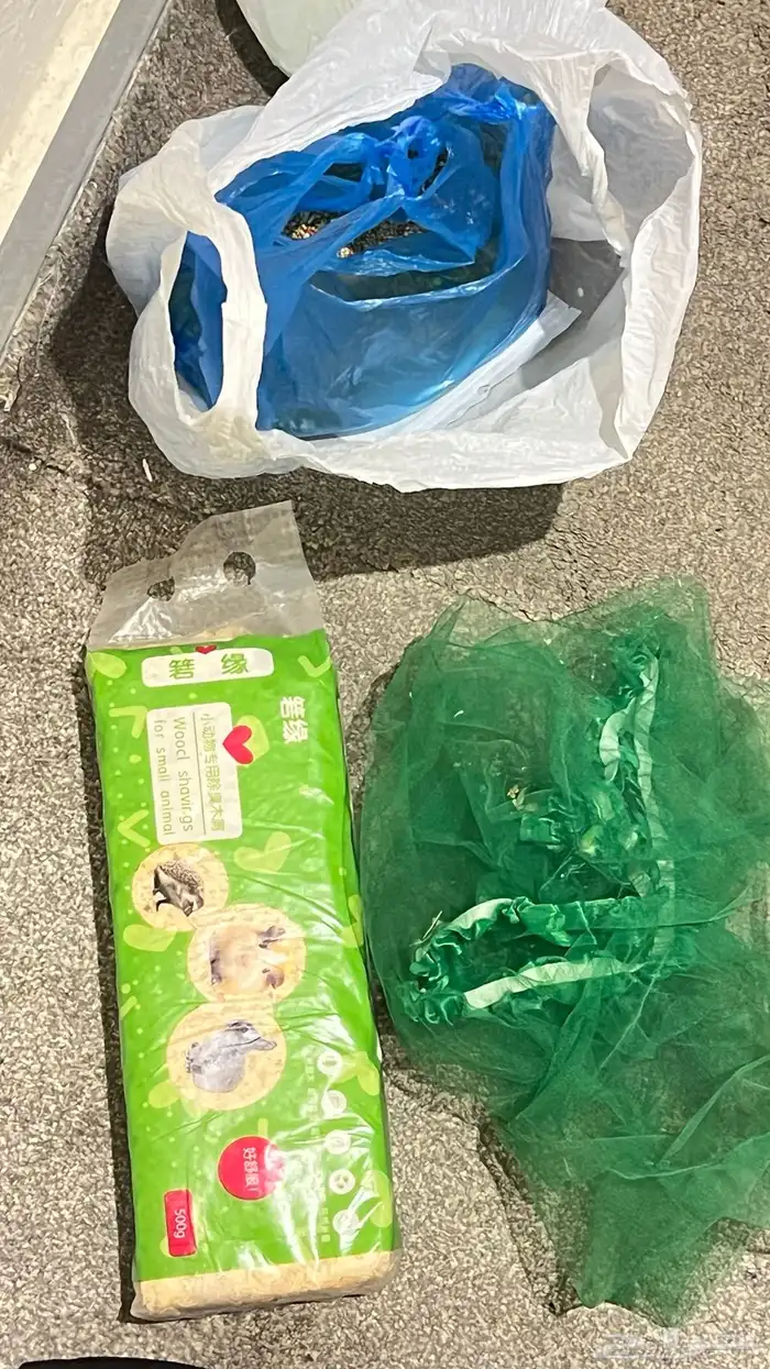 جوز طيور للبيع مع ملحقاتها 5