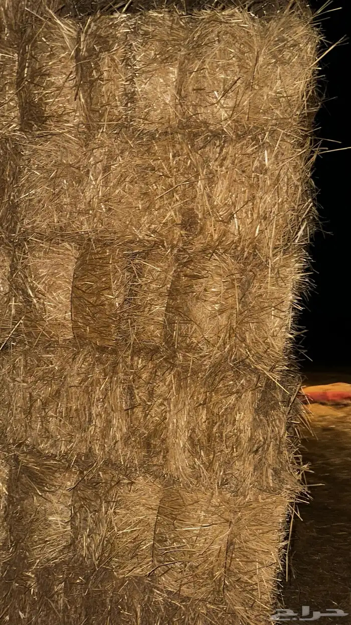 تبن للبيع شد قوي من 92 الى متر 4